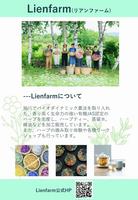 ハーブティー