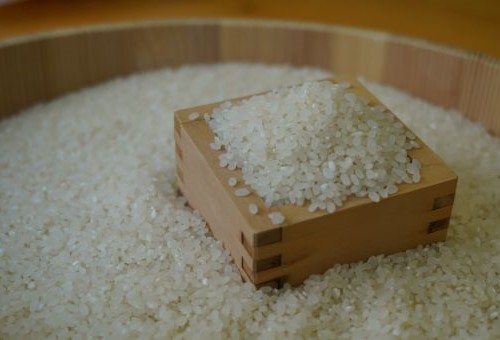旭川のお米の写真