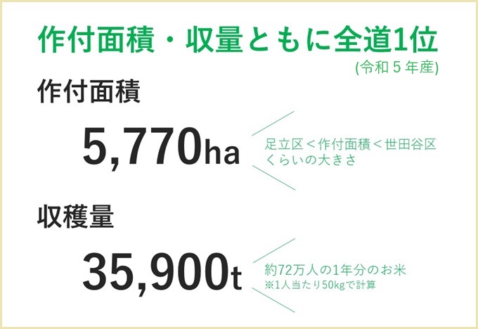 作付と生産量が北海道1位