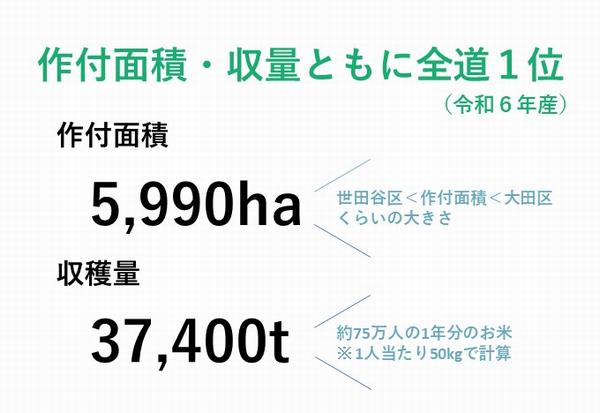 R6米生産量