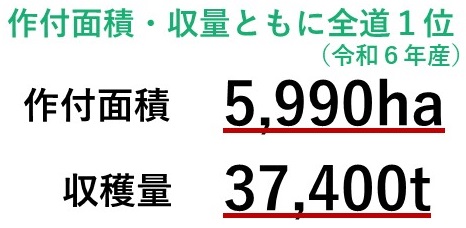 R6米生産量(簡易)