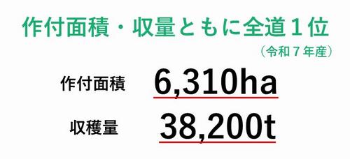R7米生産量