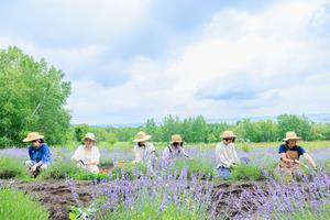 リアンファーム写真