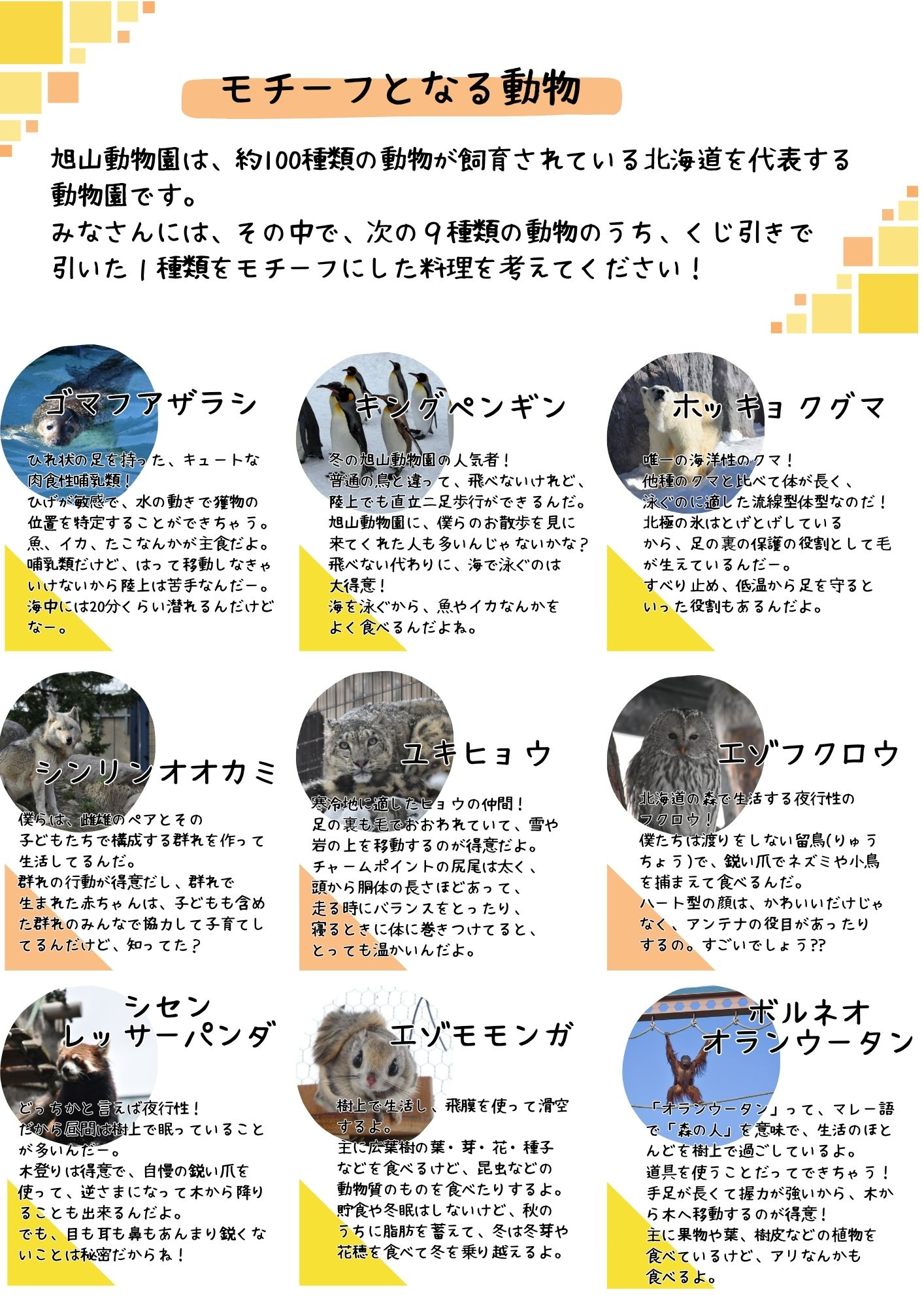 動物紹介