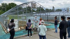 試験ほ場見学の様子