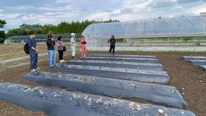 試験ほ場見学の様子