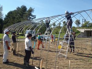 パイプハウス施工の様子