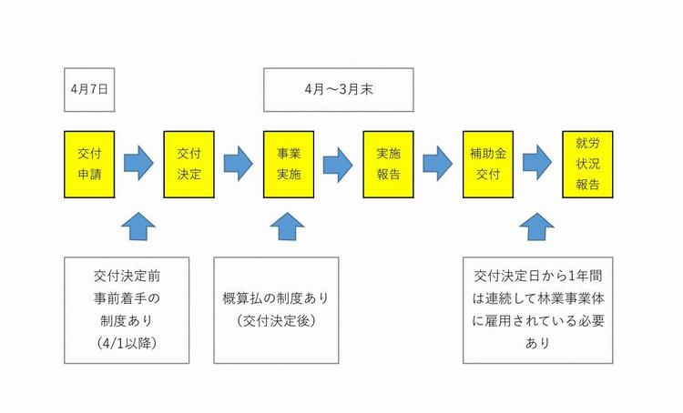 申請から交付までのフロー