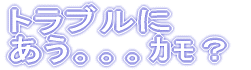 トラブルに遭う。。。カモ？