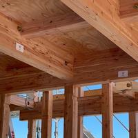 カラマツの構造材