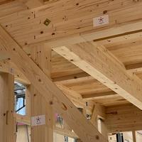 トドマツの構造材