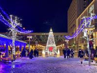 R7ユキノワイルミ01