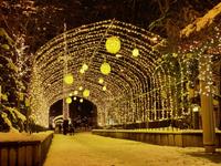 R7ユキノワイルミ03