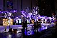 R7ユキノワイルミ05