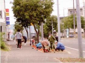 平成26年度の活動の様子