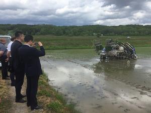 苗床田植え状況視察