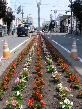 昭和通道路花壇