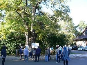 緑の見学会