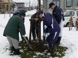 植樹支援の様子1