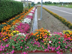 花株助成の様子2