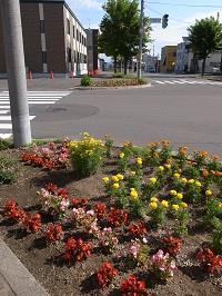 町内会道路花壇