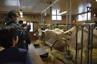 R7_魅力発見(牛舎見学)