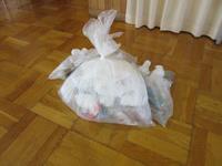 こんなにゴミが集まりました