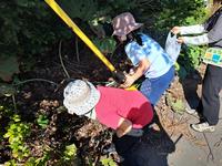 ゴミ拾い中(2回目)