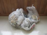 たくさんゴミを拾いました(2回目)