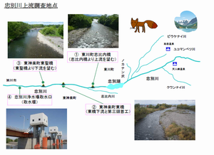 忠別川上流調査地点