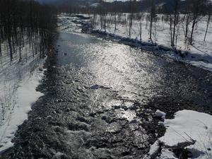 河川の写真