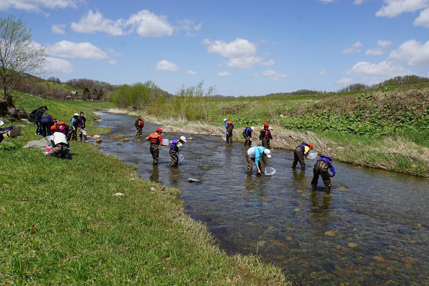 小学生が川にいる生物を調査している様子の写真
