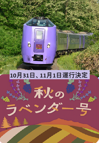 注目情報