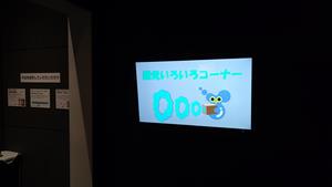 display
