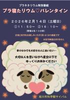 プラ寝たリウム　バレンタイン