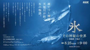 Nスペ