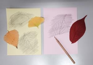 leaf