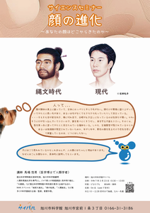 顔の進化