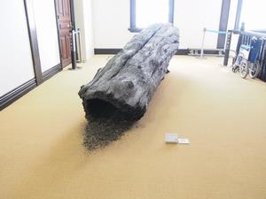 Seeking the First Light of Life