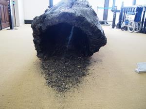 Seeking the First Light of Life_2