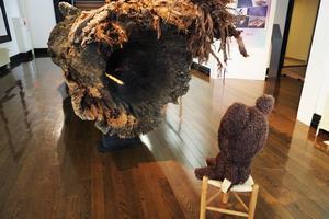 ぬい_太陽のふね