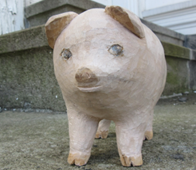 Pig004