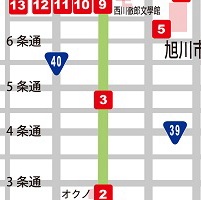 若い女・夏位置図