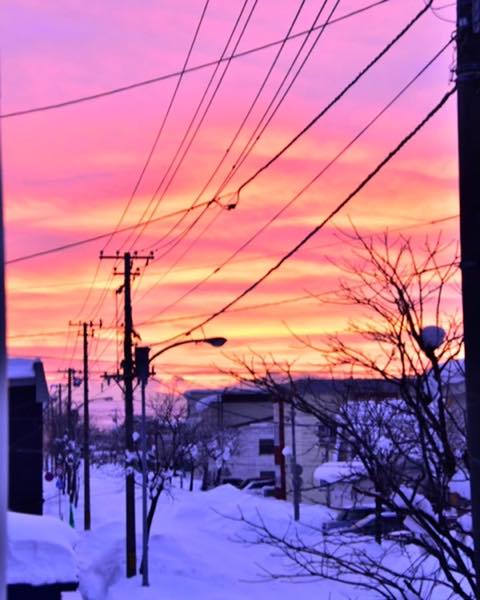旭川市ホームページ Asahikawa city